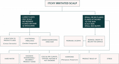The Science Behind Dry And Itchy Scalp Conditions | MONPURE The Science Behind Dry And Itchy Scalp Conditions | MONPURE