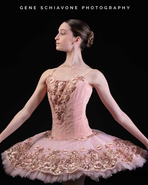 Adult Professional Ballet Platter Tutu Dance Dress Lilac Golden Ballet Costume