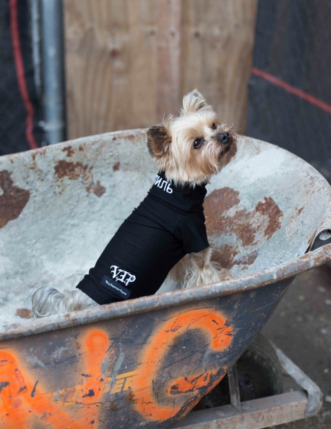 heron preston dog clothes